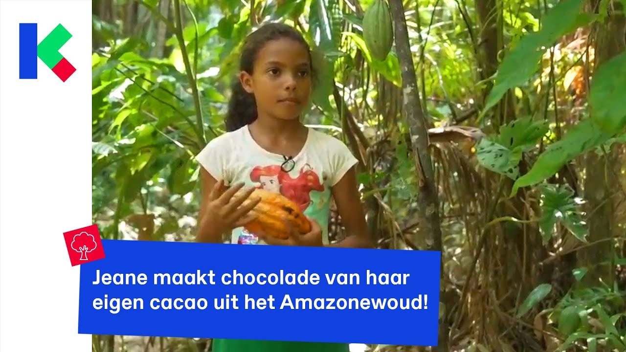 Jeane maakt chocolade van haar eigen cacao uit het Amazonewoud!