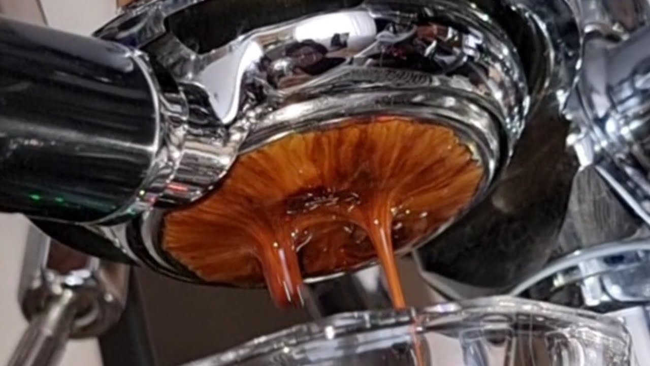 Nautilus Grinder Extraktion