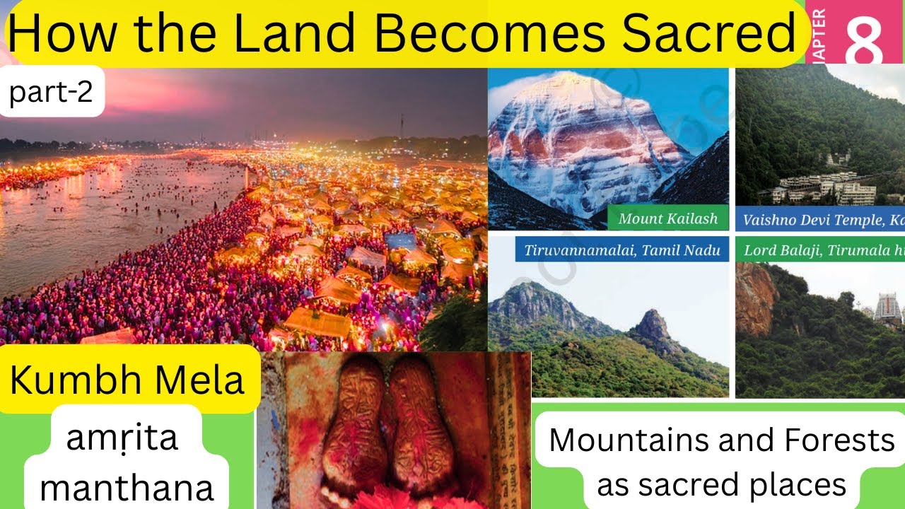 #ncert