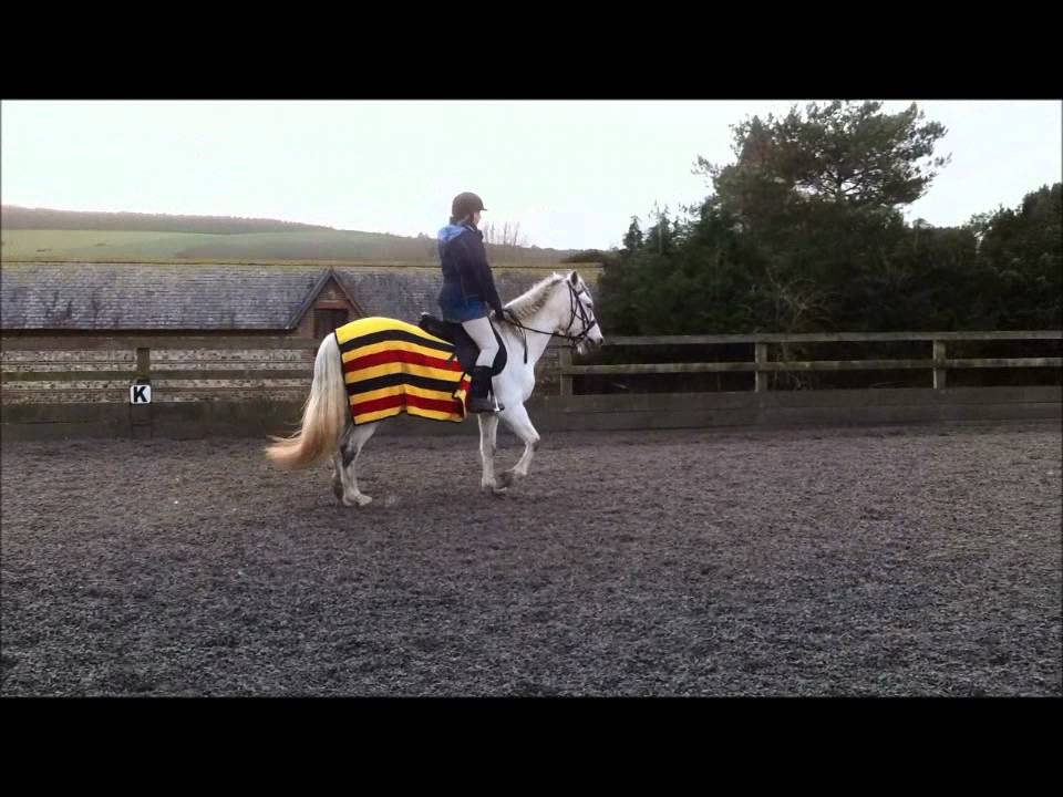 small trot.wmv