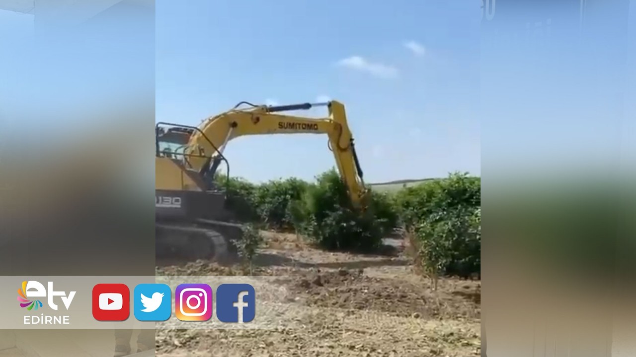 LİMON İTHALATINDA VERGİ DÜŞÜRÜLDÜ, İYİ PARTİ’DEN TEPKİ GELDİ