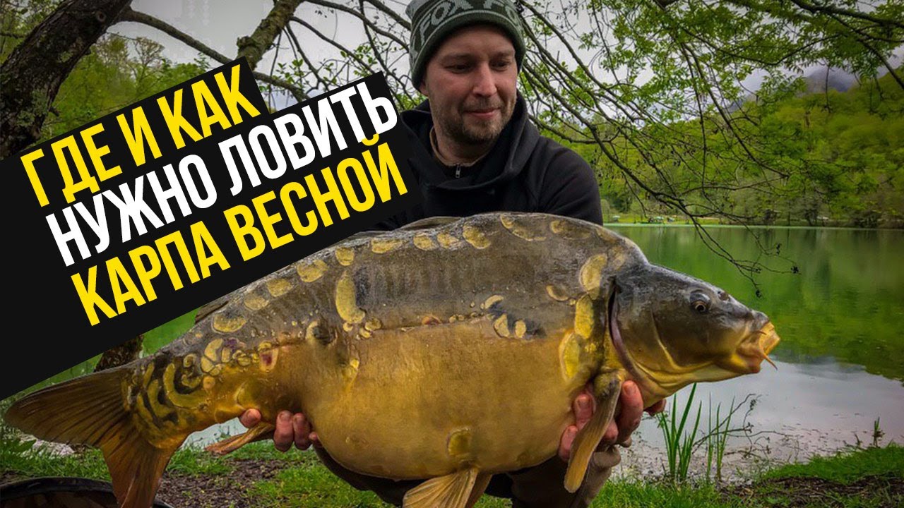 ГДЕ ЛОВИТЬ КАРПА ВЕСНОЙ? СОВЕТЫ по ПРИКОРМКЕ, ОСНАСТКАМ И МОНТАЖАМ!