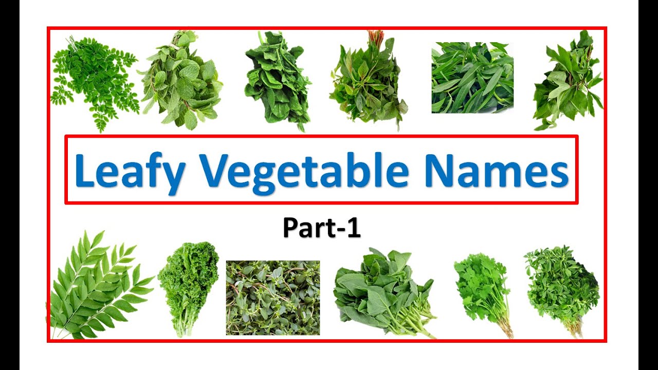 leafy vegetable names | names of leafy vegetables | leafy veggies | #leafy# |  #EToddlers