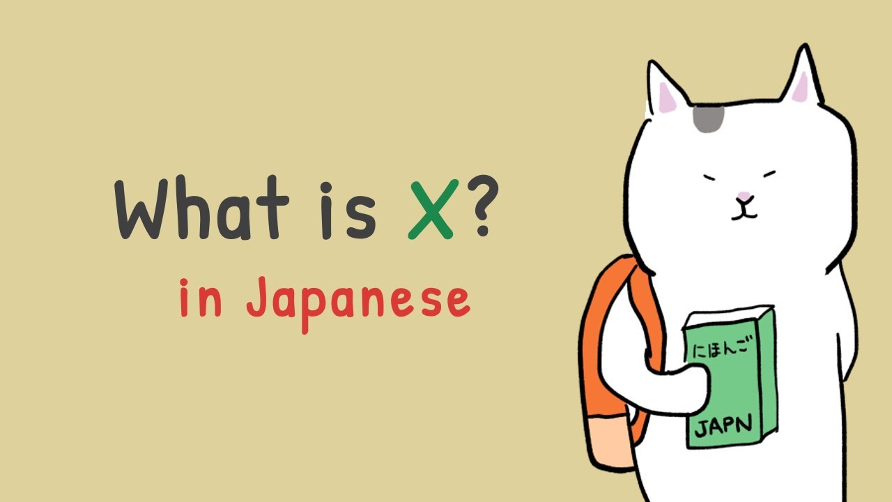 [GENKI Lesson 1] X wa nan desu ka? 🐱 Let's learn how to ask 