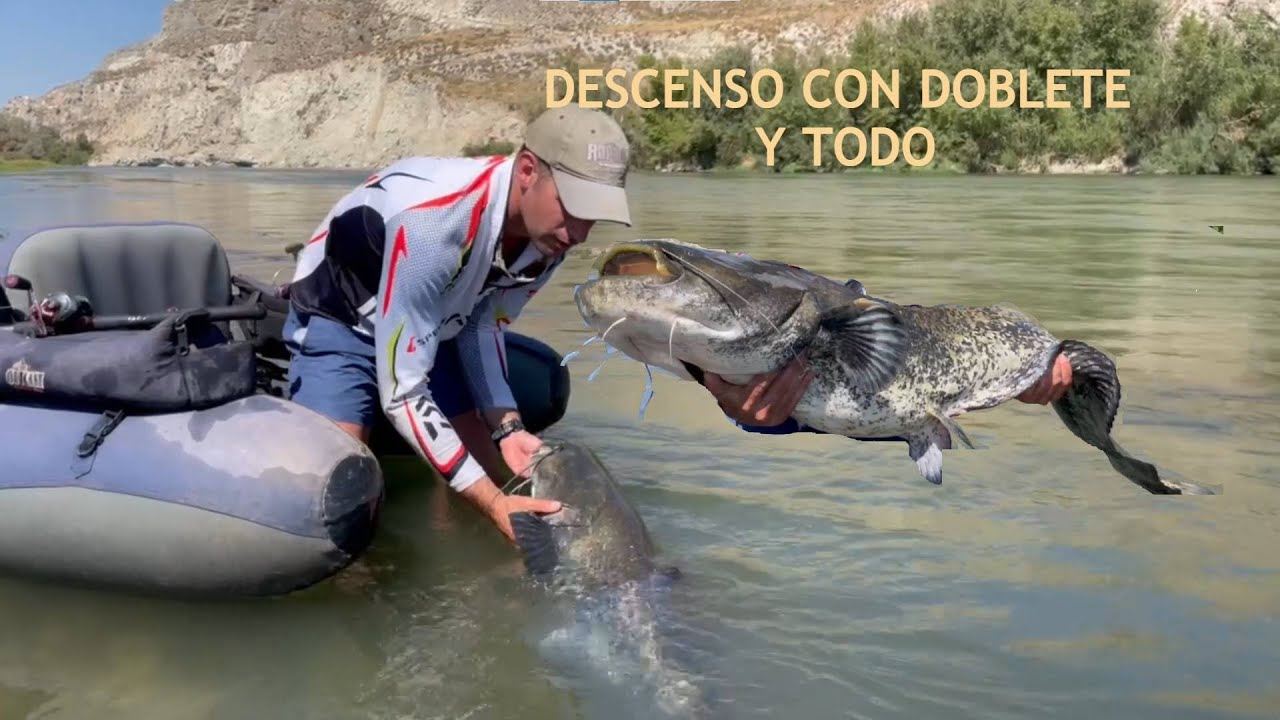 Siluros desde pato segunda parte catfish estaban activos