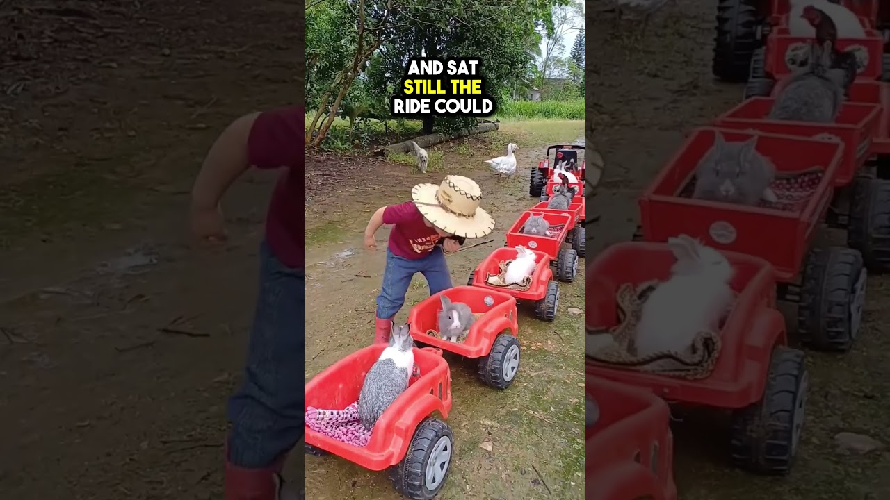 This Child built a Train for his Farm Animals 😲❤️