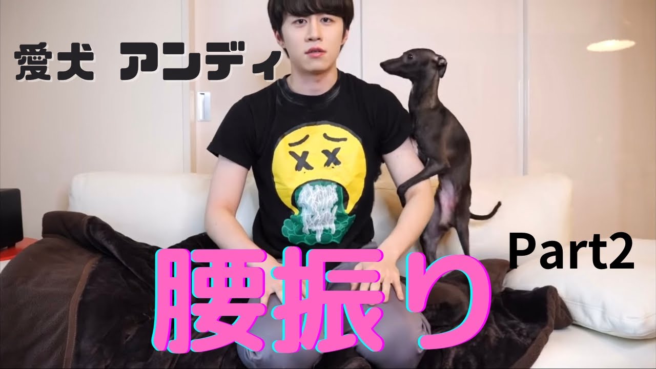 【カノックスター切り抜き】愛犬アンディ腰振り集Part2
