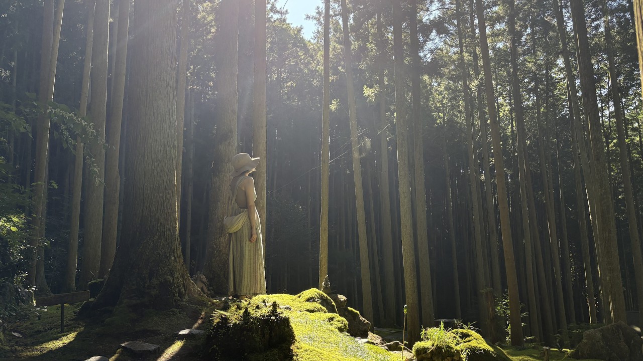 【16分間】四国八十八景 幻想的な苔庭「ギャラリー喫茶 こけむしろ」の完全版｜ただ、癒やされたいあなたへ。【B-Side】