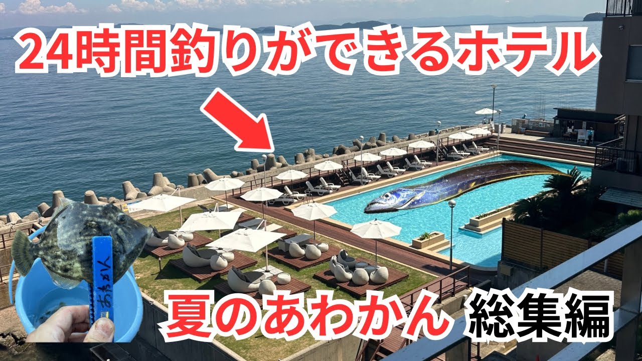 あわかんの夏は大物が爆釣して楽しすぎた…‼︎【淡路島観光ホテル】