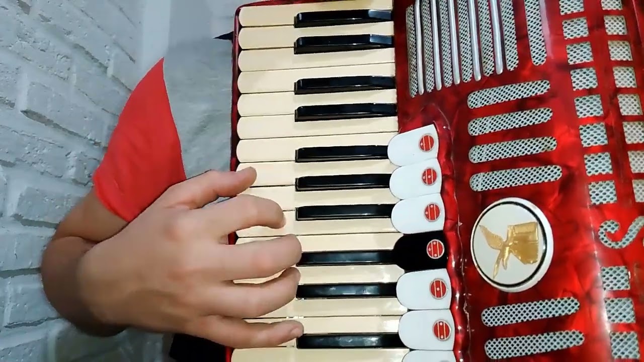 La Guitarra y La Mujer | Punteo de cumbia.