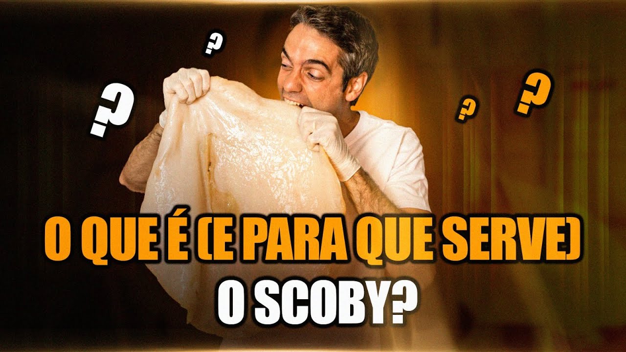 O que é o SCOBY da Kombucha (e para que ele serve)?