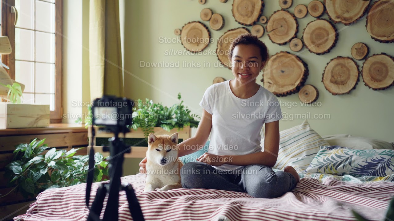Cheerful African American woman popular blogger recording video for her online blog about shiba inu