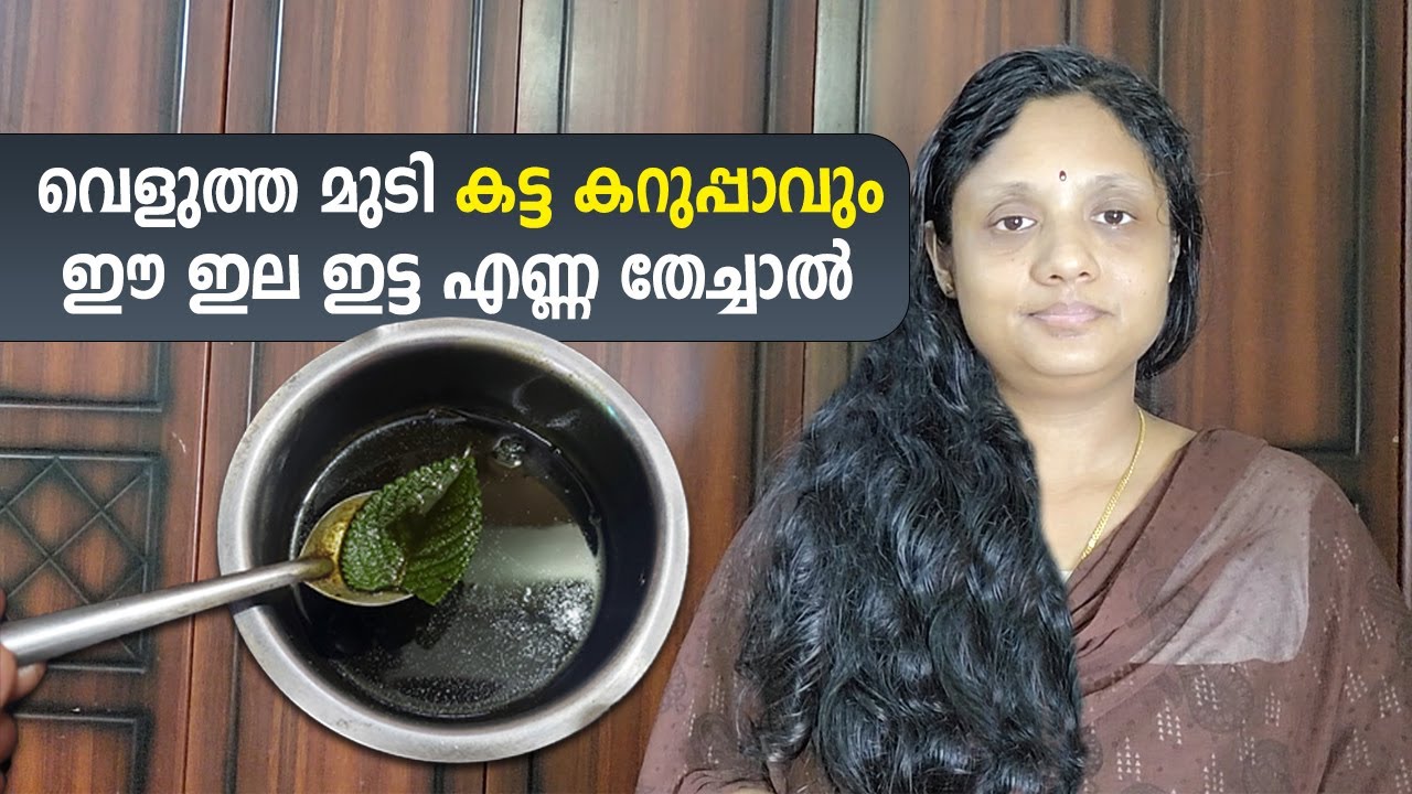 വെളുത്ത മുടി കട്ട കറുപ്പാവും ഈ ഇല ഇട്ട എണ്ണ തേച്ചാൽ | മുടി കറുപ്പിക്കാൻ | Natural Hair Dye