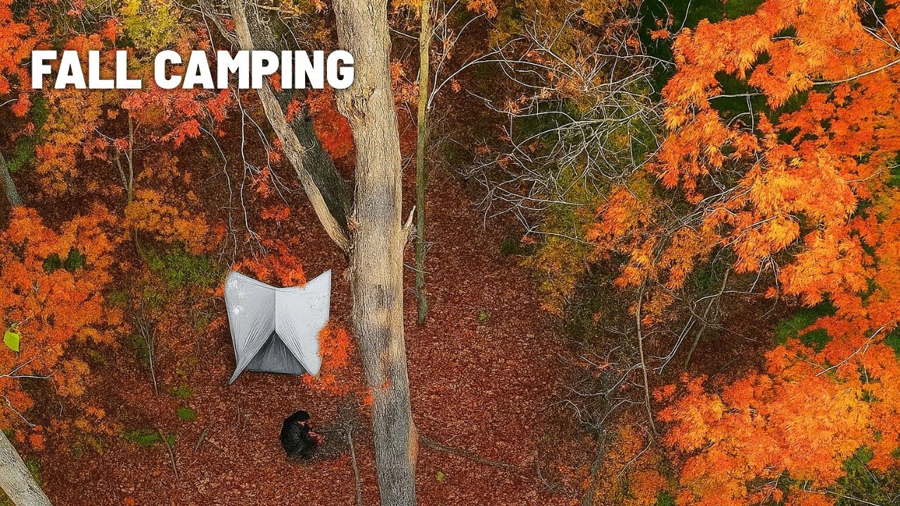Solo Fall Camping in the Wild | Minimalist Tarp, Campfire Cooking & Forest Sounds