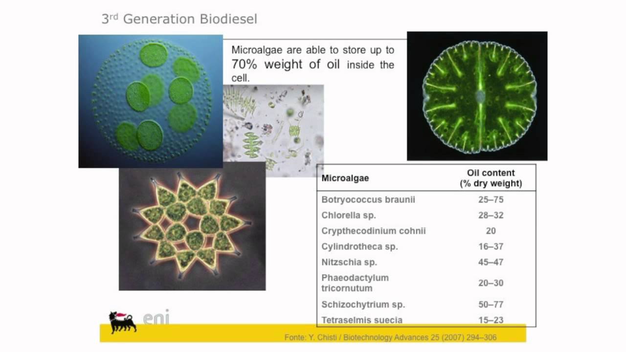 Biofuels