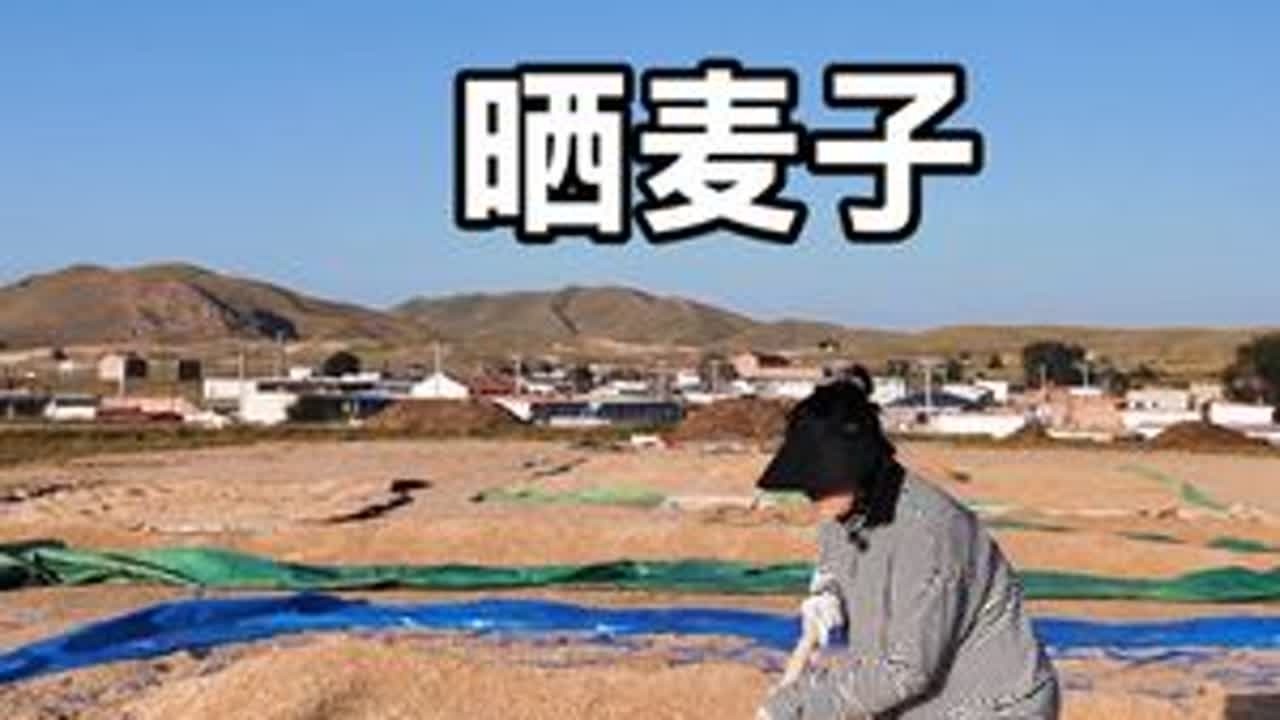 今天干活了#记录生活 #丰收季 #我的乡村生活