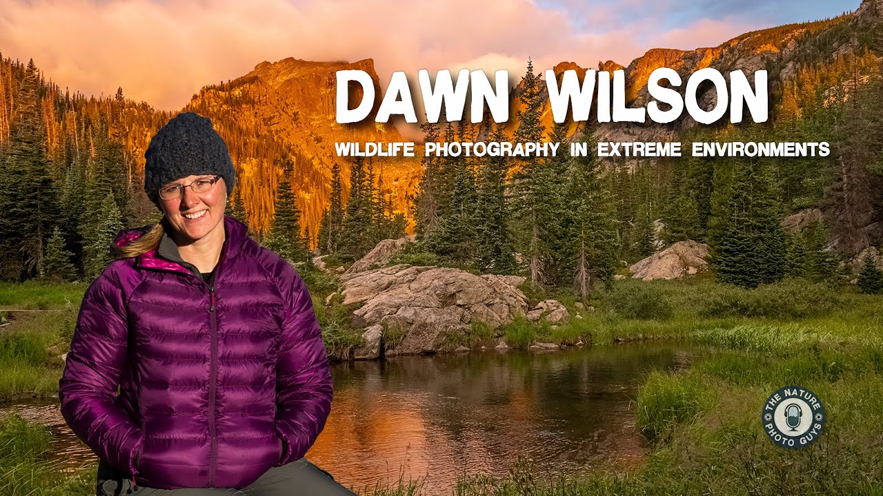 Wildlife Photography in Extreme Environments with Dawn Wilson