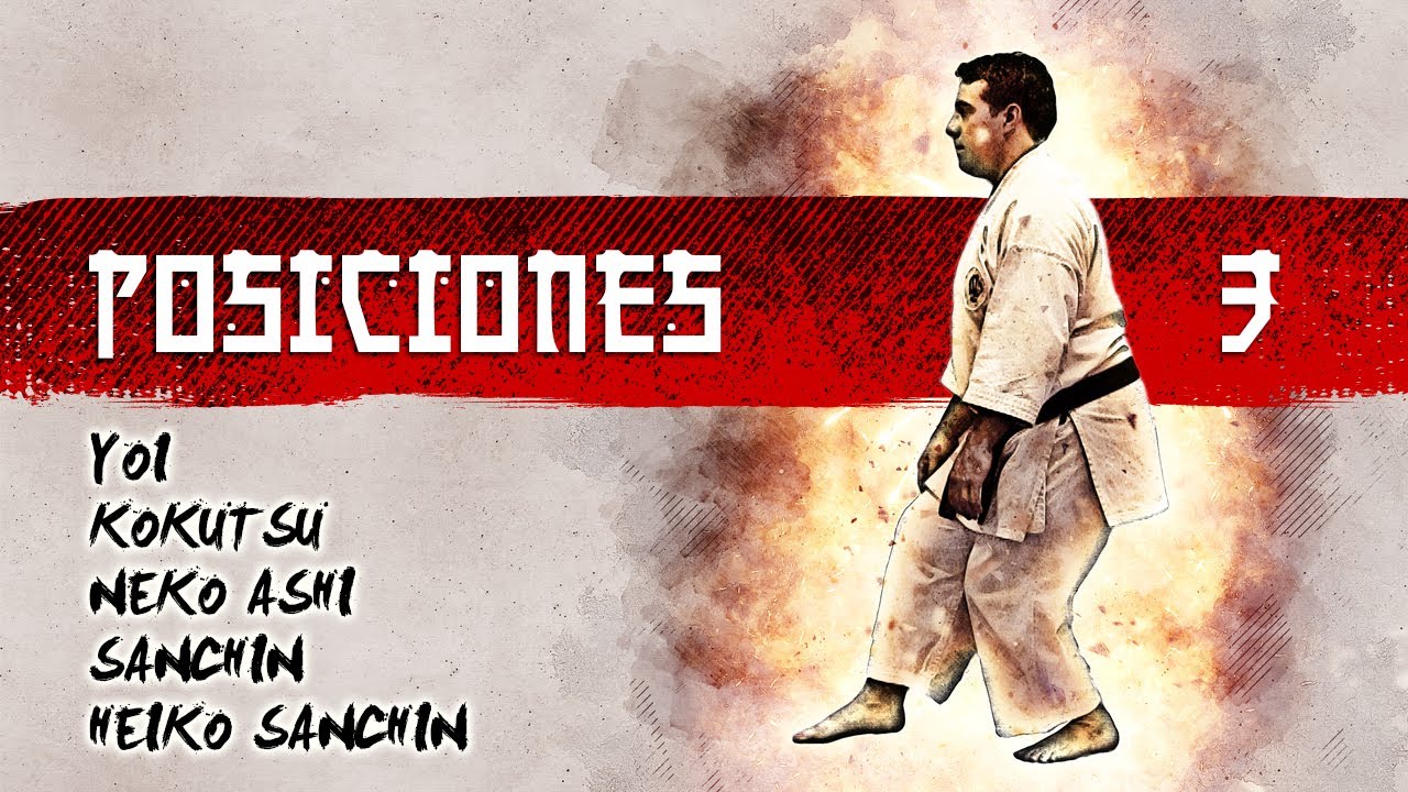 POSICIONES 3 : Más posiciones de Shito Ryu