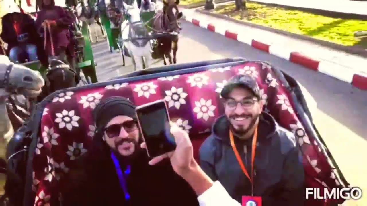 مطلق الحمام الفعل مميز