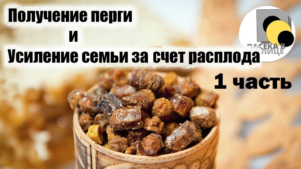 Получение перги и усиление семьи за счет расплода Часть 1 #матка #мёд #пасека #пчелы #перга #расплод