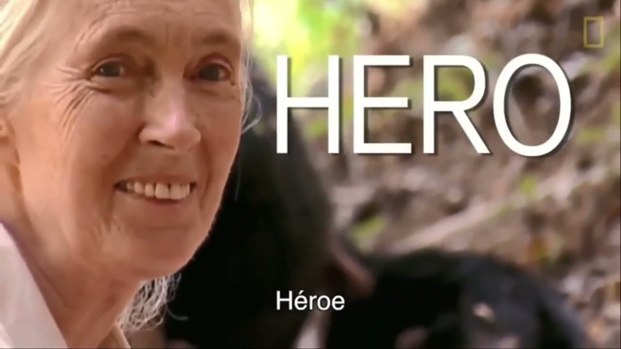 Dra. Jane Goodall, curiosa, original y valiente por Maya Davis