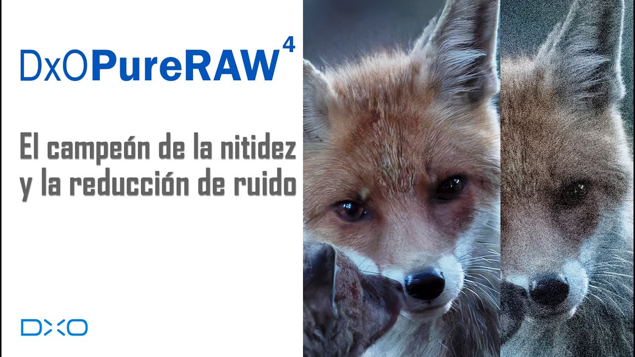 Nuevo DxO Pure RAW 4, el campeón de la reducción de ruido y aumento de nitidez
