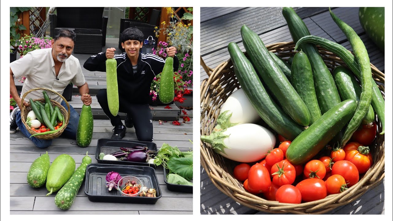 AMAZING GARDEN HARVEST! Growing Deshi Vegetables In Uk
