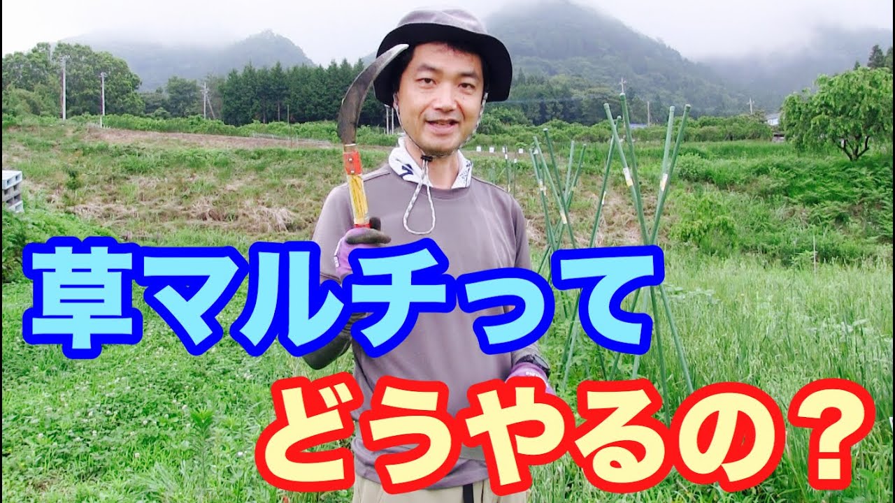 #5【自然農法】草マルチってどうやるの？