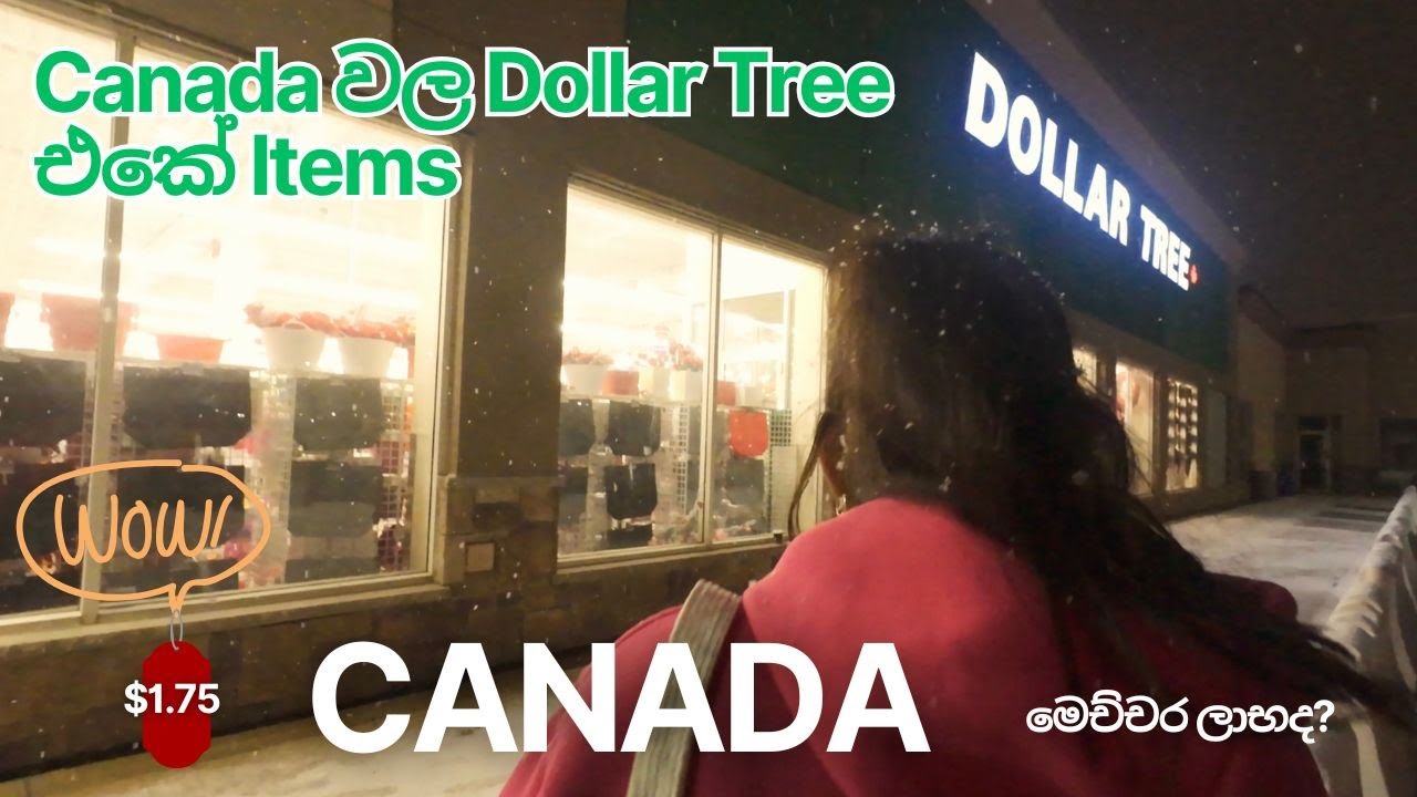 Canada වල Dollar Tree එකේ Items 😍 මෙච්චර ලාභද? Shopping Vlog 🇨🇦🇱🇰