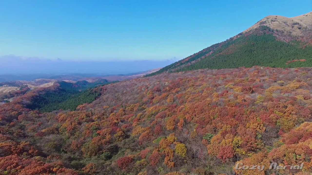 高原の紅葉と九酔渓の紅葉　大分県九重町