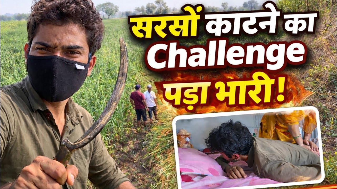 सरसों काटना पड़ गया भारी 🤕 | farming vlog Challenge Day 2 