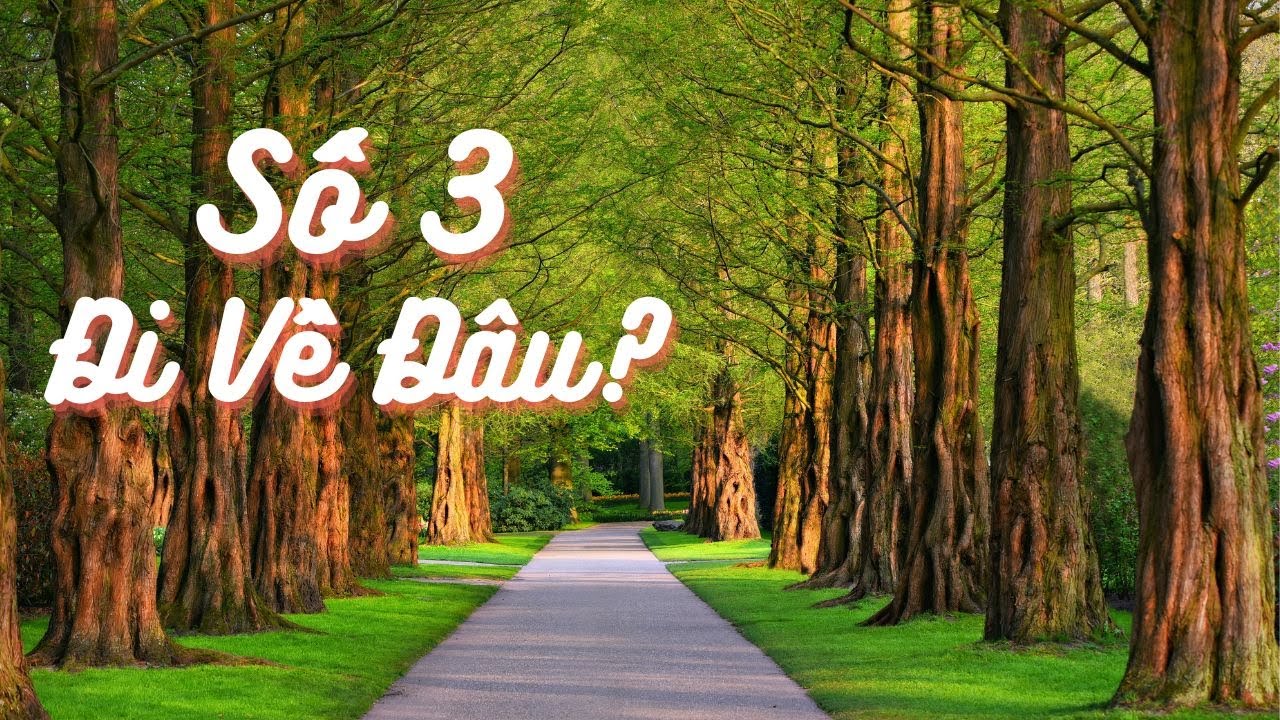 Số 3 Đi Về Đâu? 