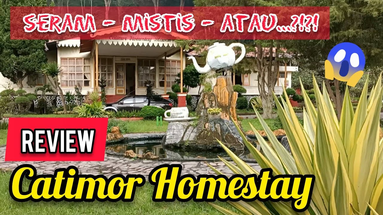 REVIEW CATIMOR HOMESTAY IJEN BONDOWOSO - HOTEL ZAMAN KOLONIAL BELANDA ABAD 18 ANNO 1894