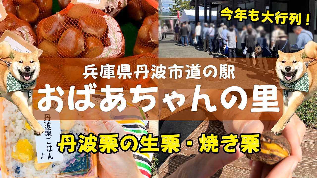 焼き栗に大行列ができる丹波市の道の駅「おばあちゃんの里」に行ってきたよ（2024年10月10日）