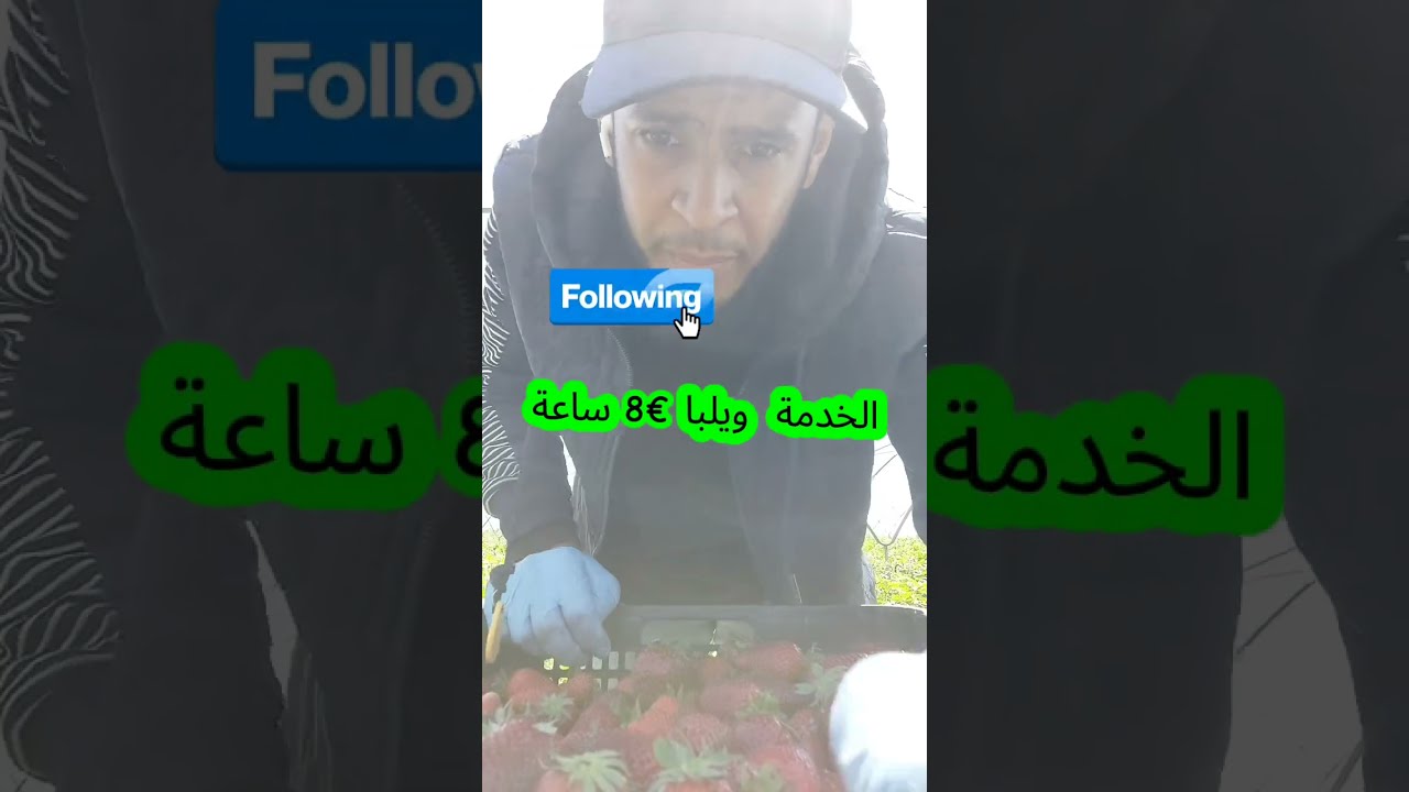 العمل في إسبانية  ويلبا 🇪🇸