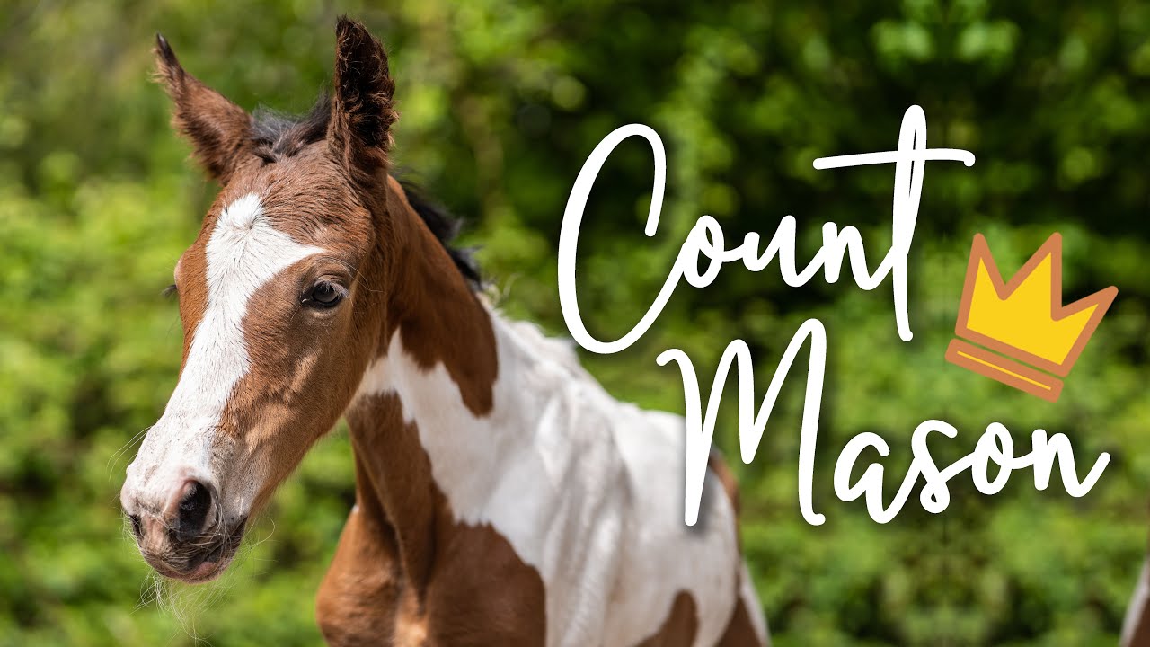 Welkom Mason👑 | Een nieuw begin! | Zaressa