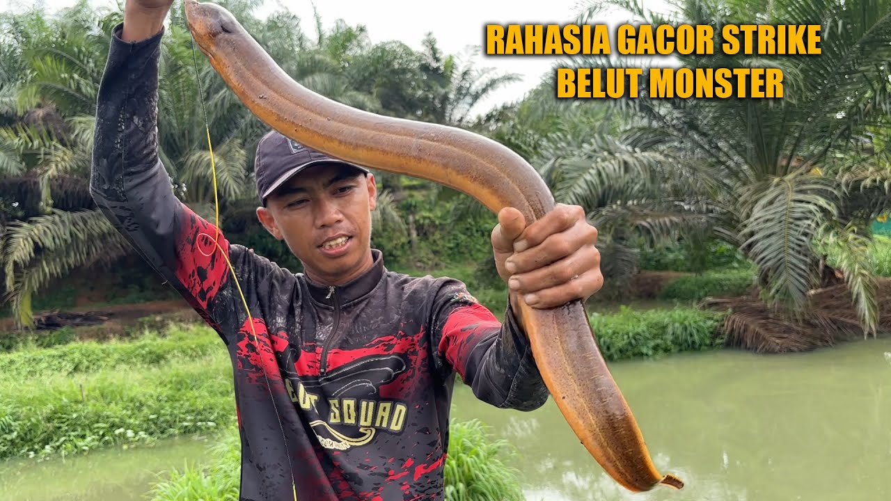 STRIKE BELUT BERTUBI - TUBI PAKAI RAHASIA INI