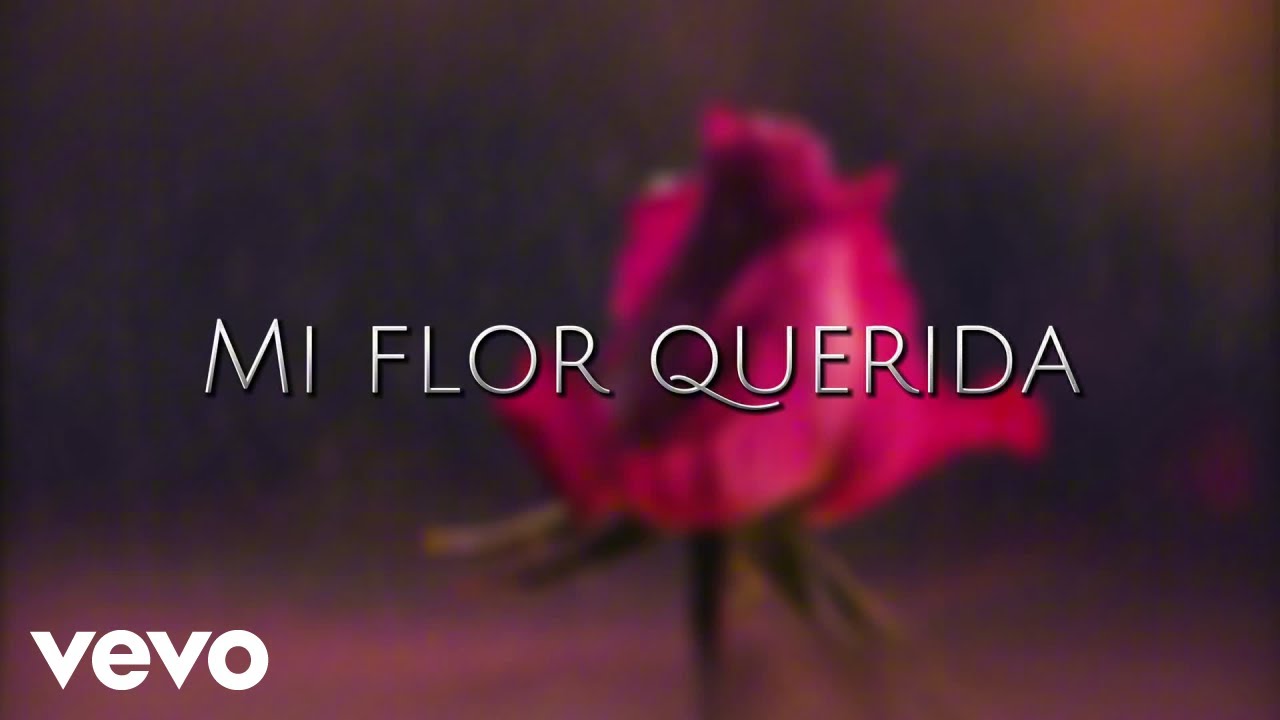 Acordes del Alma - Mi flor querida (Video Lyric)
