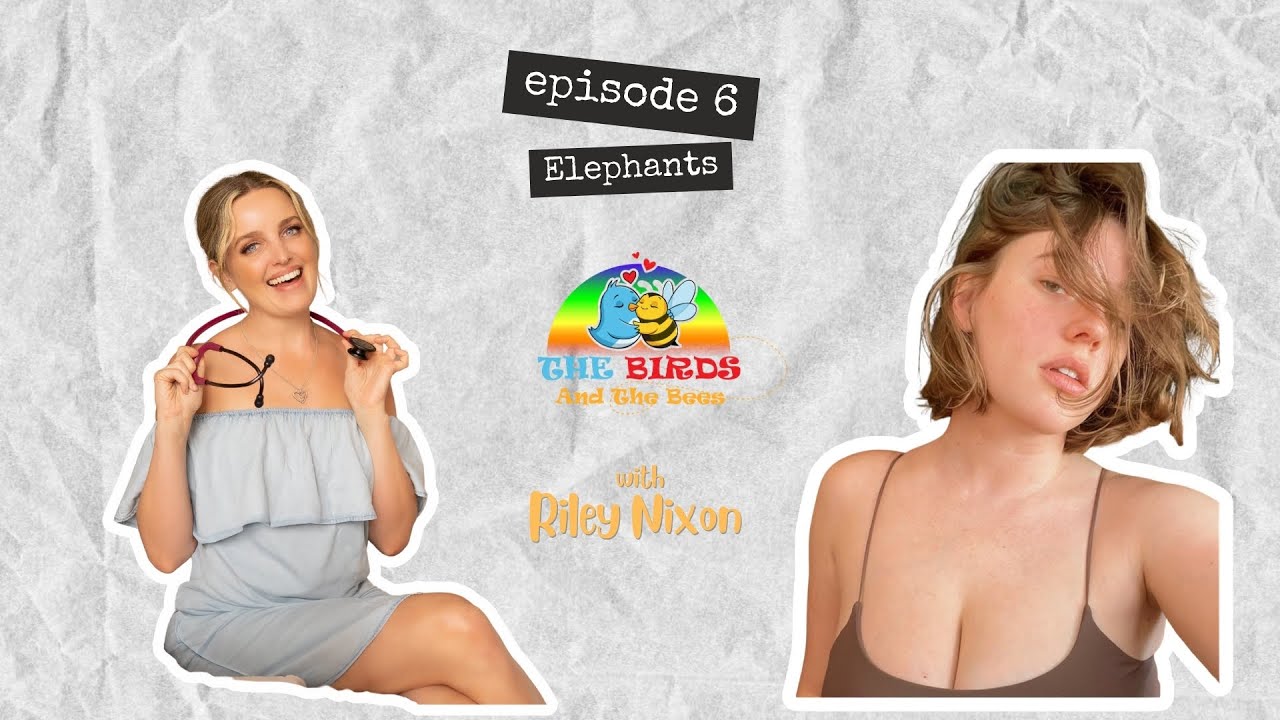 Episode 6: Elephants with Riley Nixon