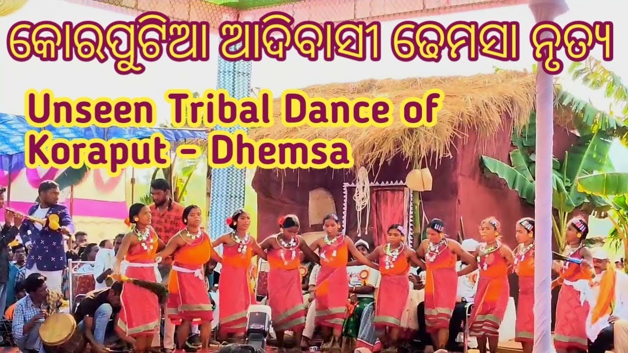 Dhemsa Dance of Koraput | A Glimpse of Tribal Odisha Culture 🇮🇳 #tribaldance #tribal 
