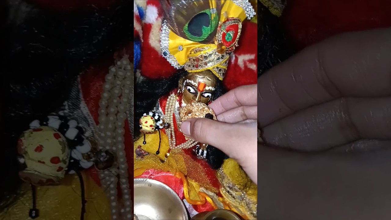Laddu Gopal morning day routine shorts 