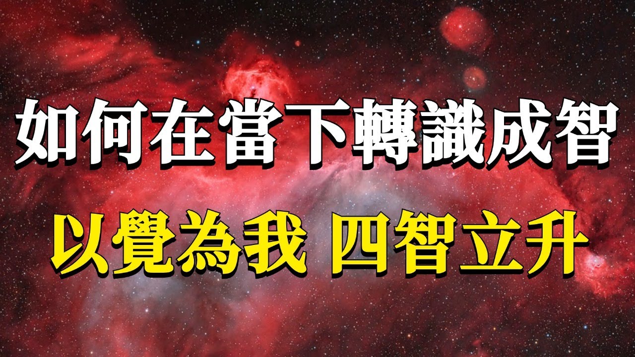 什麼才是真正的轉識成智？怎樣才能在當下轉識成智呢？以覺為我，四智立升！#能量#業力 #宇宙 #精神 #提升 #靈魂 #財富 #認知覺醒 #修行