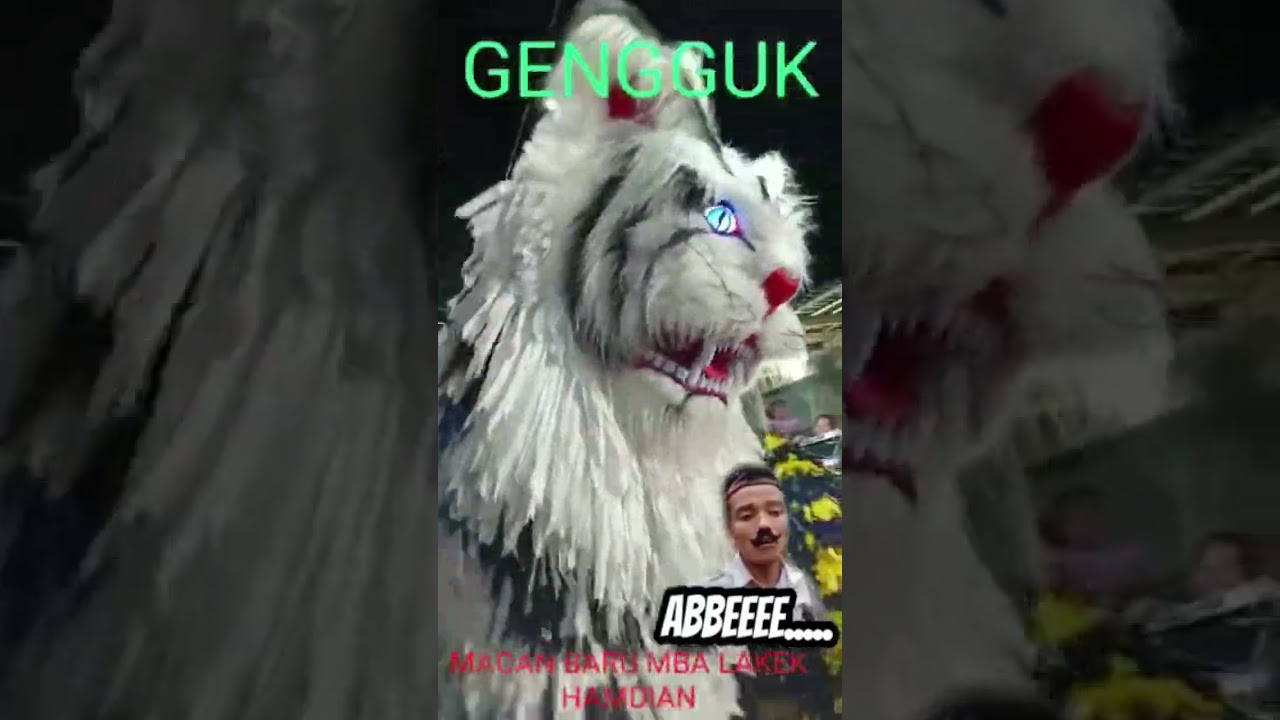 Viral..!! Can macanan ba lakek bikin ngakak full abis🤣😂