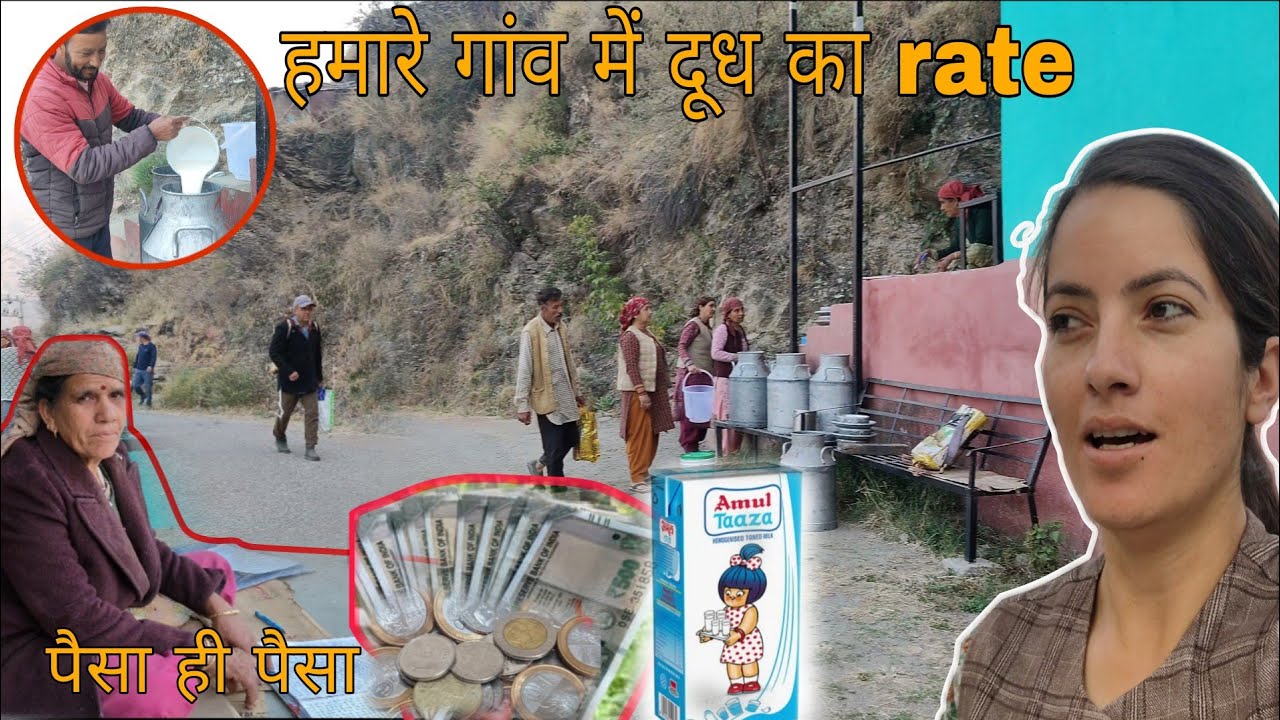 हमारे गांव में दूध का rate || दूध से कमाते है लोग बहुत पैसा || सारा काम करना पड़ा मुझे || PVV ||2026
