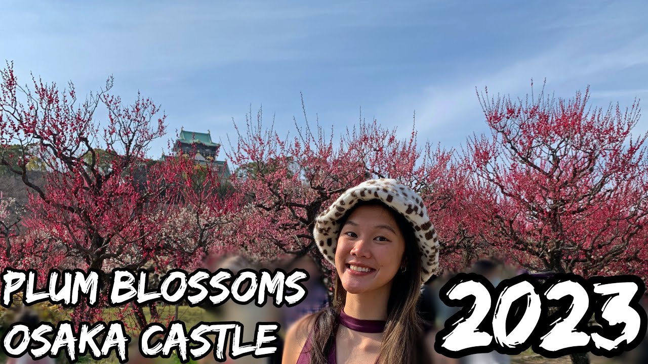 Japan's Best Plum Blossoms