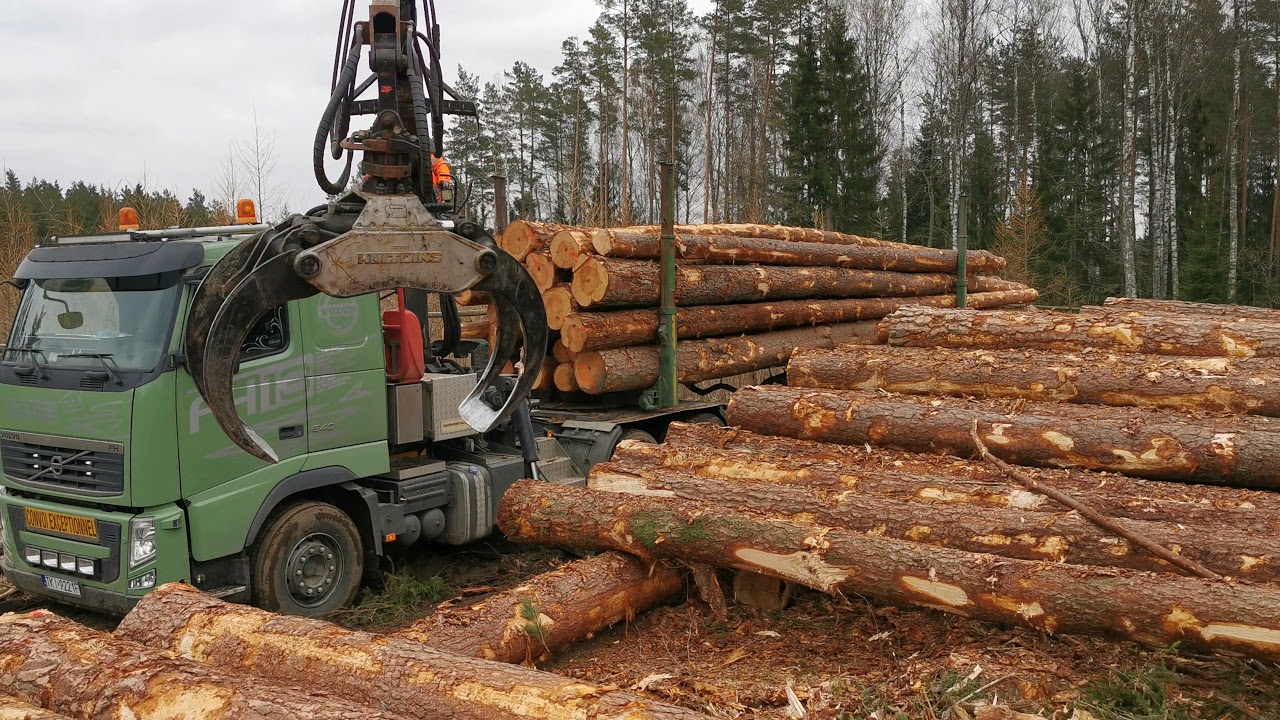 Transport drewna. Załadunek drewna w lesie HDS Loglift 251S.