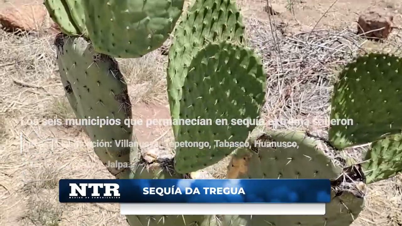 Sequía da tregua Zacatecas