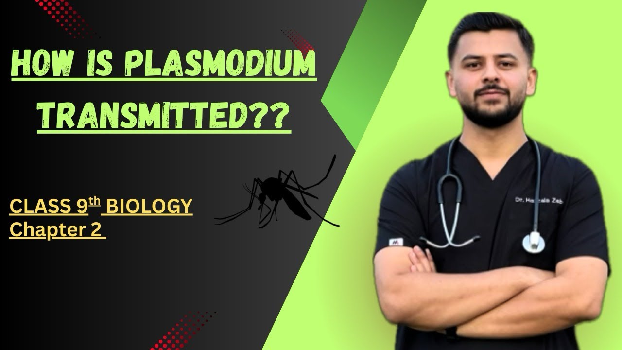 How is Plasmodium transmitted | Biological problem #2 | Class 9th biology | Chapter 2 | kpk board 