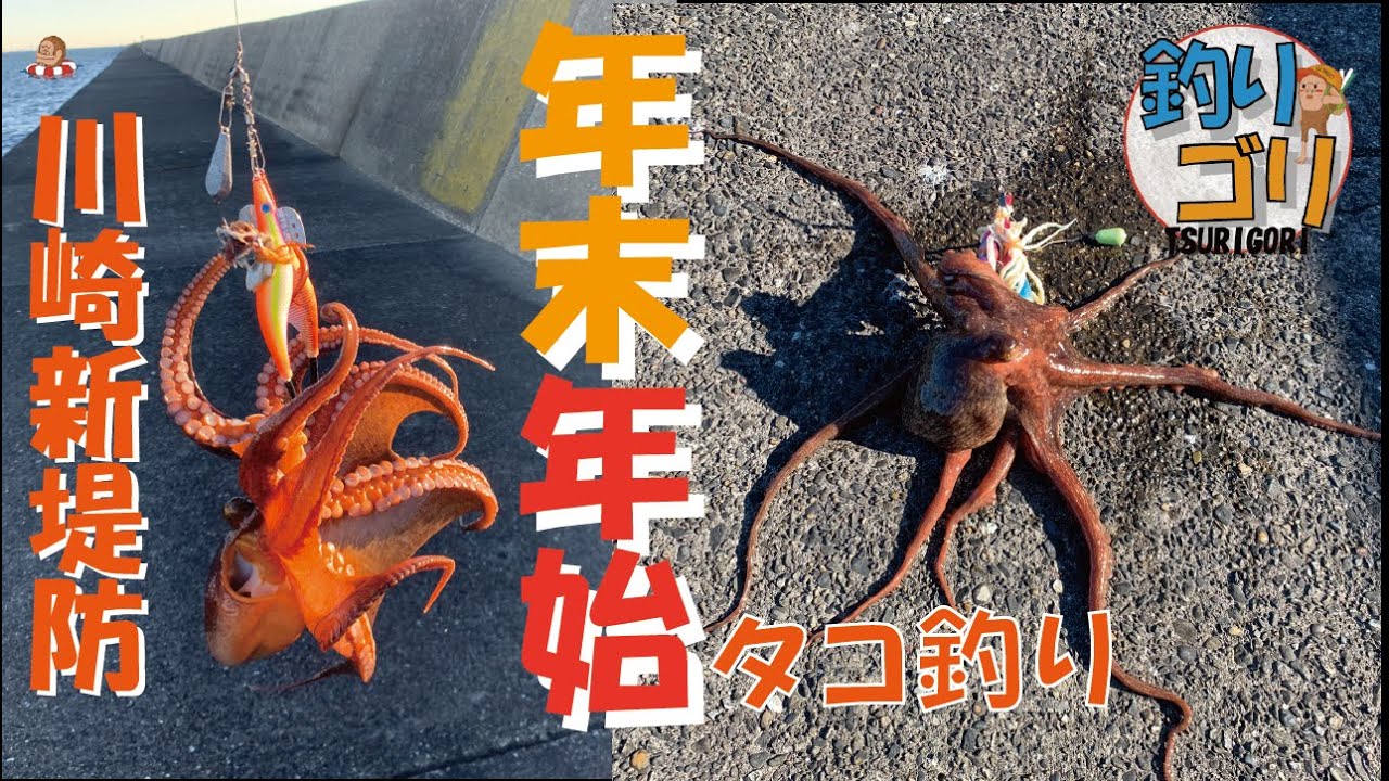 【川崎新堤防攻略⁉️】&【大洗港】年末年始のタコ釣り🐙