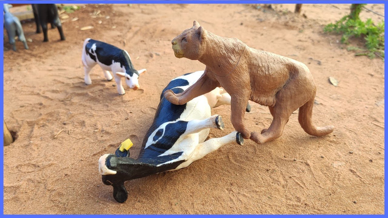 INCRÍVEL: UM PUMA INVADIU  A FAZENDA
